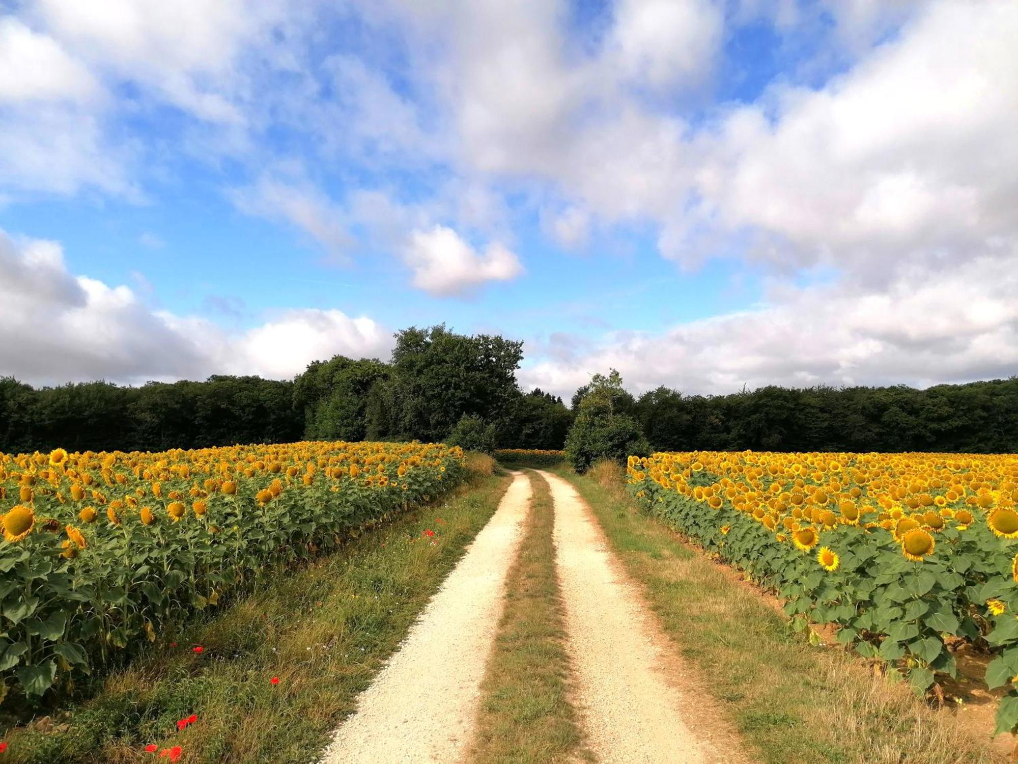 Le Verger Du Paradis Beaulieu-sur-Sonnette ภายนอก รูปภาพ